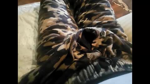 DailyJerker84 online show from November 23, 5:46 pm