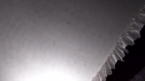 dannowisc online show from April 7, 2:44 am