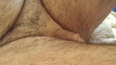 dapppper online show from September 15, 2:14 am