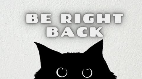 darienlarge online show from January 11, 6:22 pm