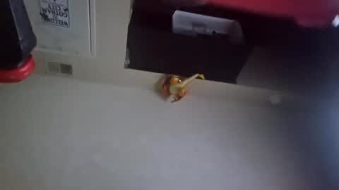 Snapshot of darkestsins666 chatting on March 5, 9:16 am darkestsins666 online show from March 5, 9:16 am