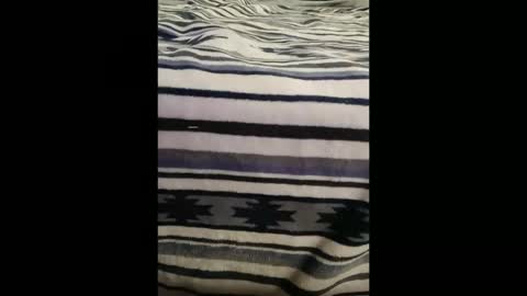 dat_guy8806 online show from January 5, 11:52 pm