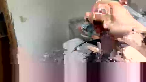 davemike233 online show from February 27, 7:57 pm