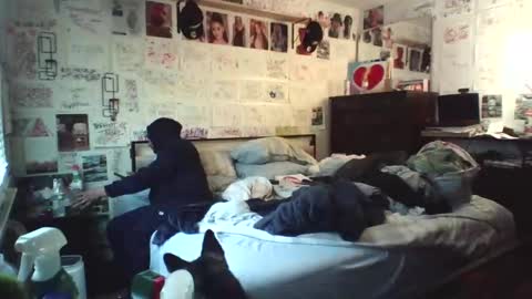 dbeamon92 online show from February 6, 6:16 pm