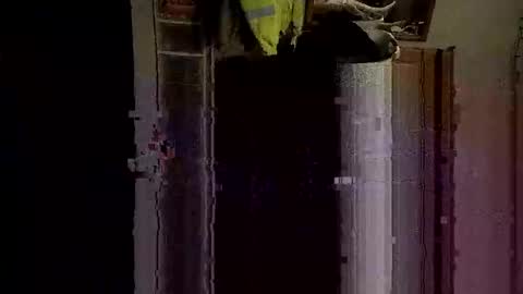 decoyx5o5 online show from January 17, 7:19 am