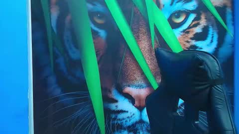 DEIBY online show from February 11, 9:53 pm