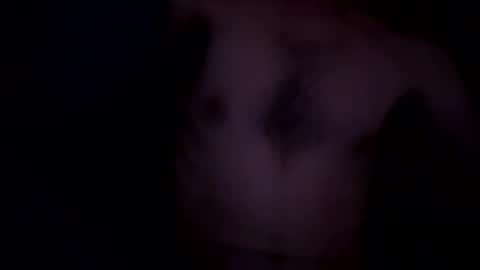 deknaux online show from October 16, 10:56 am