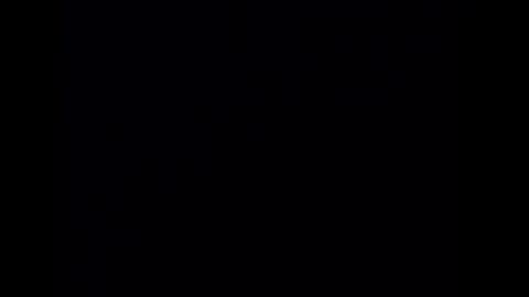 deliv_shopi online show from March 8, 10:52 am