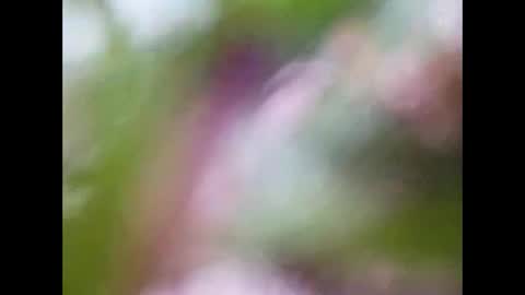 denier online show from February 22, 10:33 pm