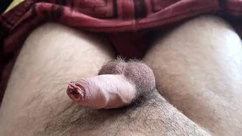 LilRoach online show from December 1, 3:15 pm