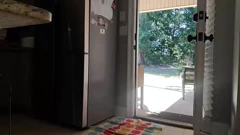 Dextercollins online show from November 4, 4:41 pm