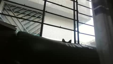 dickeduardo online show from March 29, 10:32 pm