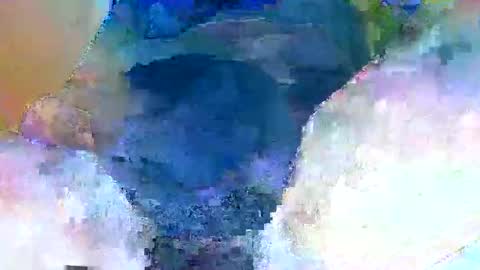 didai online show from January 27, 8:49 pm