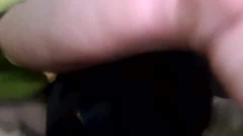 Snapshot of discreetpleasures4u chatting on September 15, 12:39 pm discreetpleasures4u online show from September 15, 12:39 pm