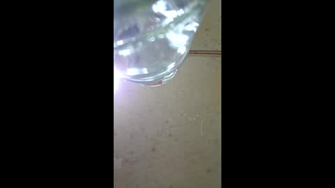 dispuestoatod online show from January 10, 12:27 am