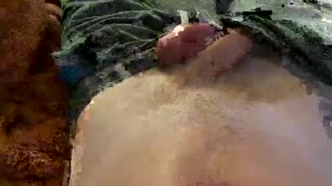 Snapshot of dn030533 chatting on September 15, 3:19 am dn030533 online show from September 15, 3:19 am