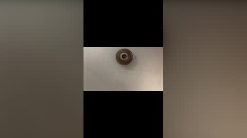 dogggggy07 online show from November 28, 6:54 pm