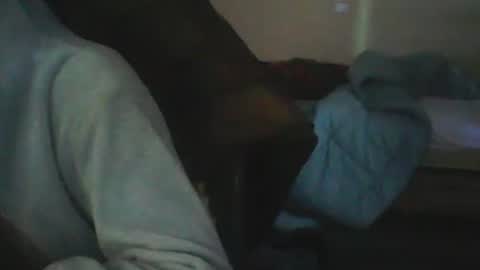 dolcedillei online show from January 11, 12:42 pm