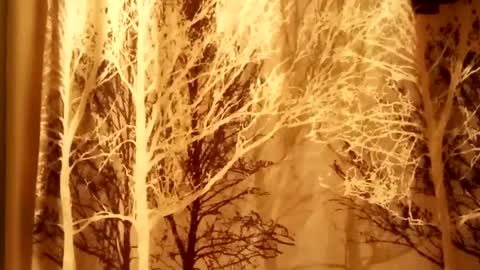 donschlongs online show from December 4, 12:08 am