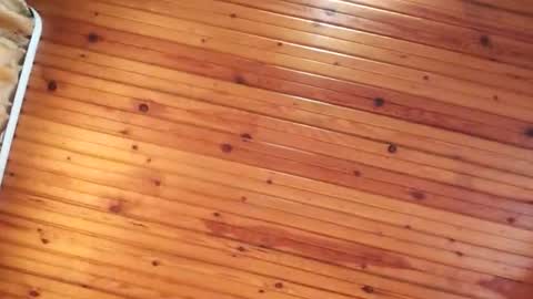 Booored online show from April 30, 10:55 am