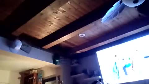 dtrain6969420 online show from November 3, 2:16 am