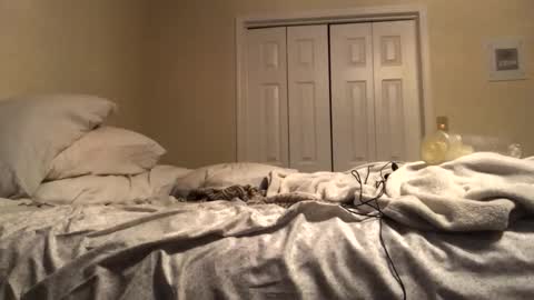 ducebabydee online show from December 19, 10:12 am