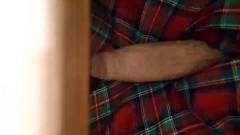 dVe1oPe online show from March 31, 10:06 am