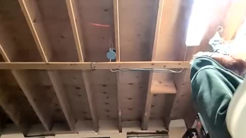 easylog online show from January 9, 9:09 pm