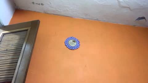 ed_mun online show from April 1, 4:36 am