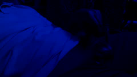 Edington Rex online show from February 15, 7:27 am