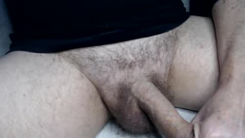 el gato lusty online show from December 3, 8:47 am