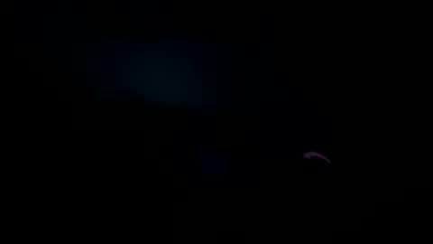 elcretinmo online show from February 24, 6:08 pm