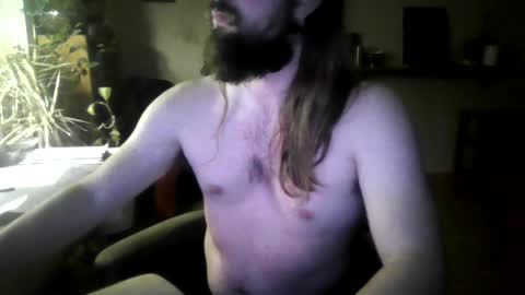 fox online show from November 2, 4:28 am