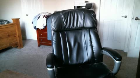 Elk online show from December 21, 3:53 pm