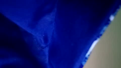 experttreecompany online show from April 1, 5:21 pm