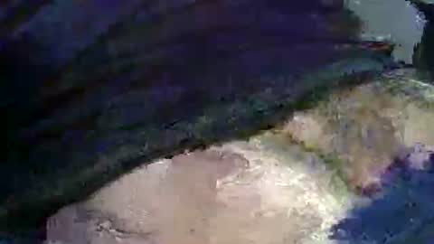 JC online show from November 15, 8:27 am