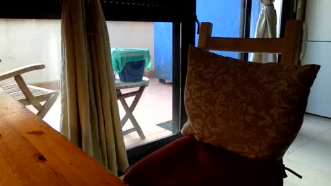 Fabro online show from March 13, 7:49 am