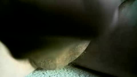 Snapshot of felicaste chatting on March 3, 12:10 pm felicaste online show from March 3, 12:10 pm