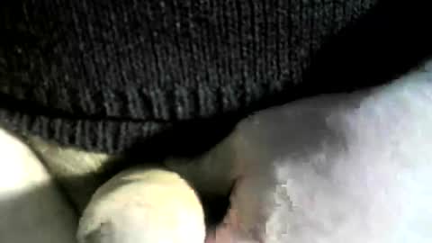 Snapshot of felicaste chatting on March 6, 7:54 pm felicaste online show from March 6, 7:54 pm
