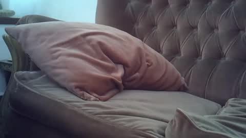 fenix7477 online show from February 6, 6:13 pm