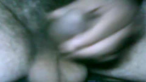 fer_2197 online show from February 2, 12:24 pm