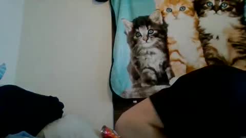 Snapshot of fetishsearch1abdl chatting on March 3, 2:55 am fetishsearch1abdl online show from March 3, 2:55 am