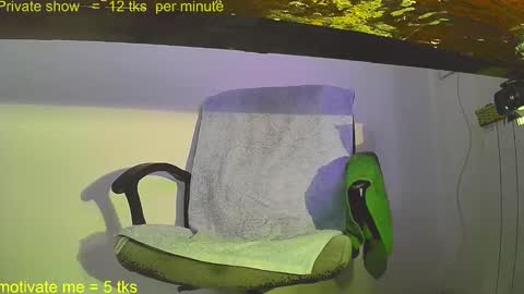 phil online show from September 23, 12:04 pm