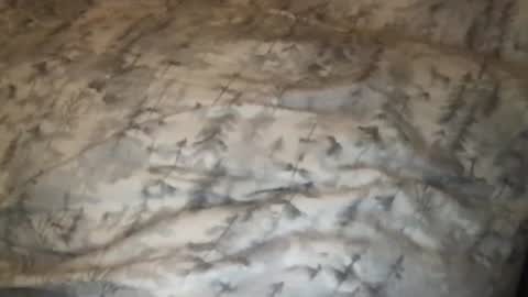 FitCollegeStudxx online show from February 25, 3:42 am