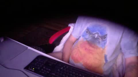 flingledrip online show from March 2, 7:10 am