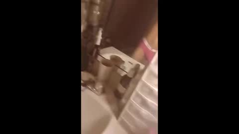 floridaloverboy88 online show from September 29, 5:31 pm