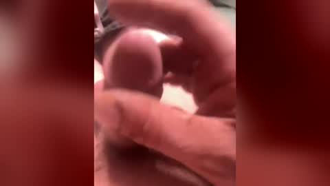 followthepipermore online show from April 3, 6:10 am