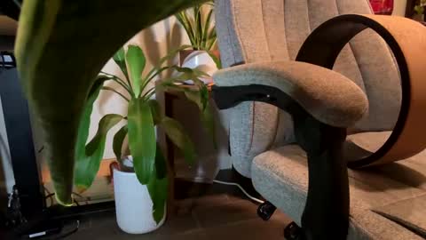 fuklicious online show from January 19, 3:39 am