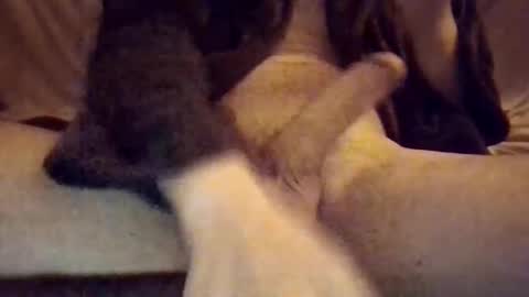 eric online show from January 7, 7:46 am