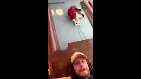 garetmc online show from October 11, 6:12 pm